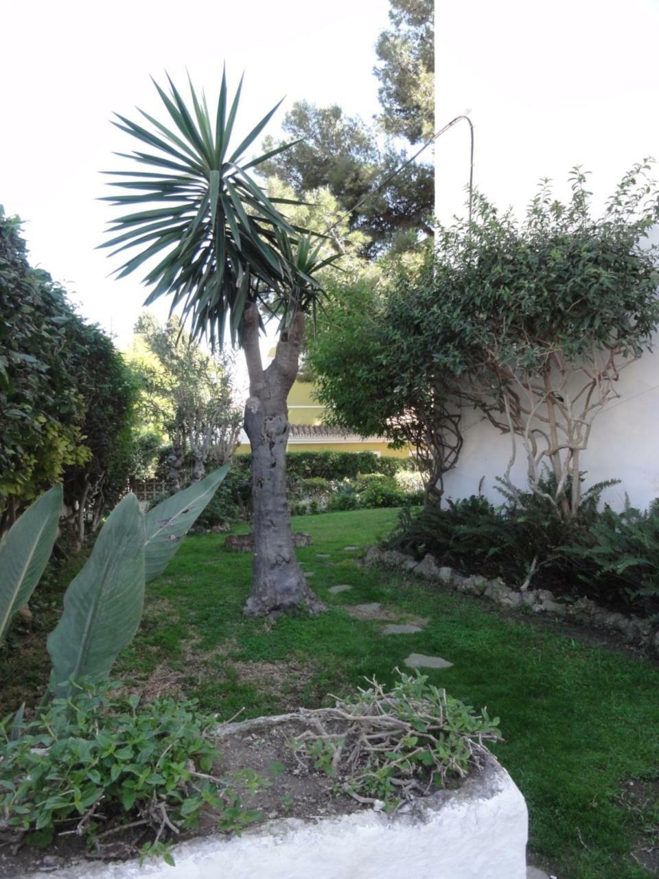 Apartamentos Elysium Torremolinos Eksteriør bilde
